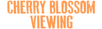 CHERRY BLOSSOM VIEWING